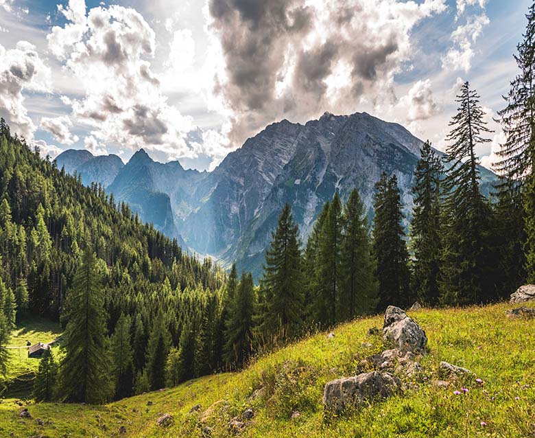 fototapet dormitor cu munti